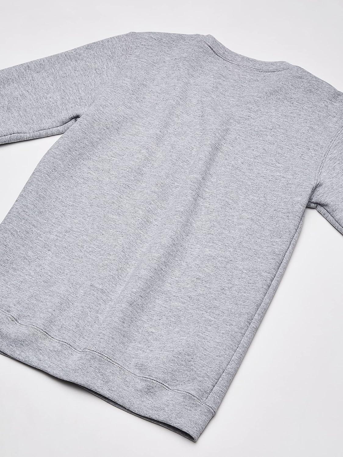 imageHanes Boys EcoSmart Sweatshirt Cotton Crewneck Pullover Kids Fleece SweatshirtLight Steel