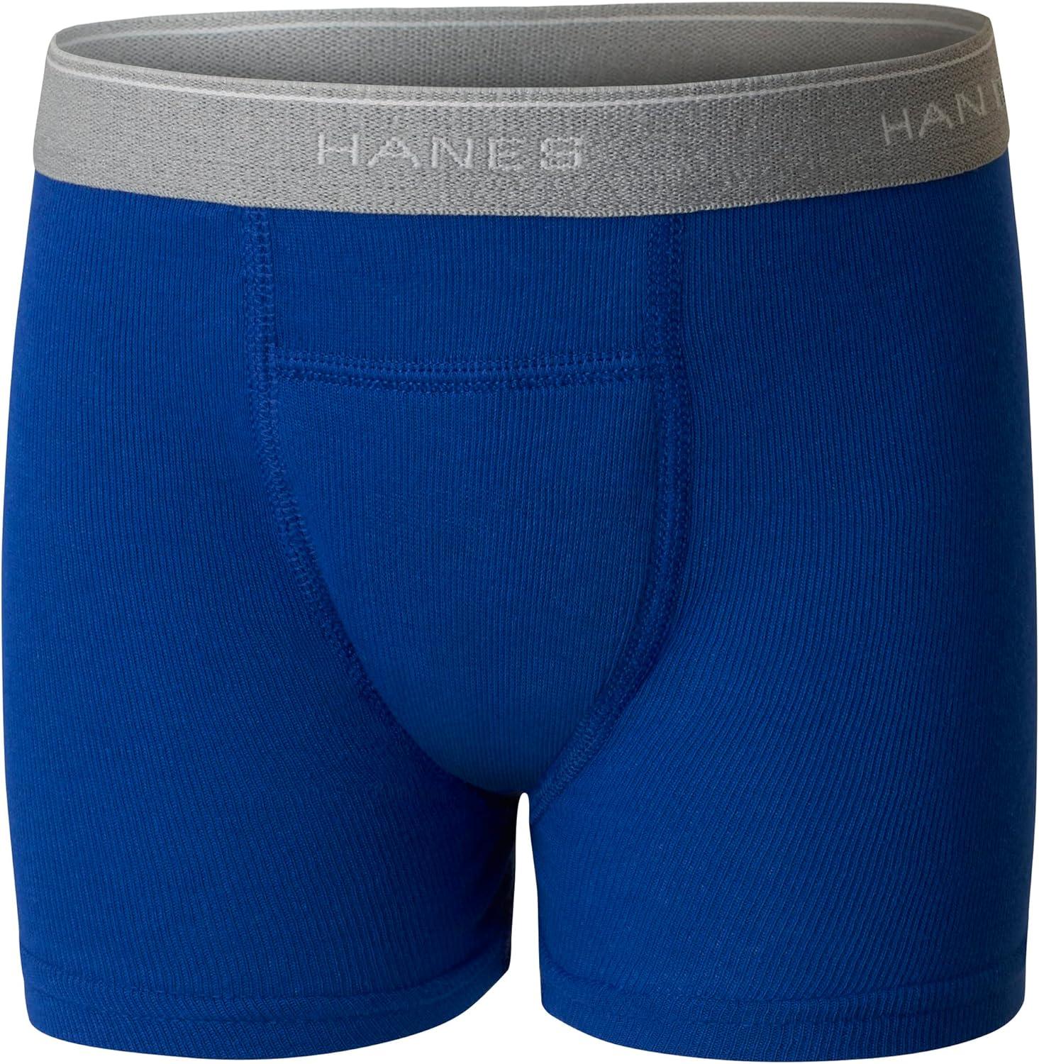 imageHanes Toddler Boys Potty Trainer Underwear Light Leaks Boxer Briefs ampamp Briefs Available 6 ampamp 7 PackBlueGray Assorted 6 Pack