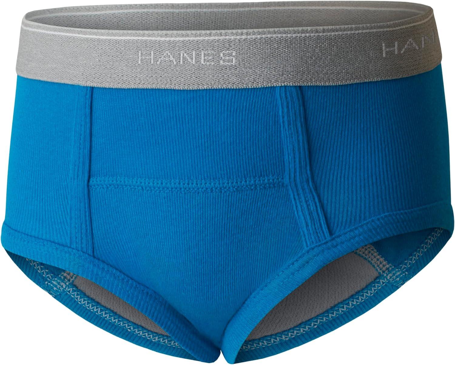 imageHanes Toddler Boys Potty Trainer Underwear Light Leaks Boxer Briefs ampamp Briefs Available 6 ampamp 7 PackBriefs BluePrint Assorted 6 Pack