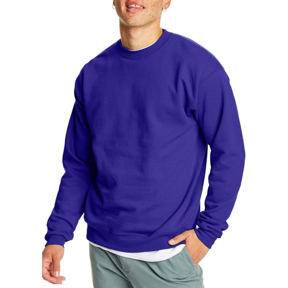 imageHanes Mens EcoSmart Sweatshirt 2 PackPurple 1 Pack