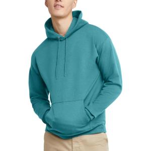 Hanes EcoSmart Hoodie, Midweight Fleece, Pullover Hooded Sweatshirt for Men(Spanish Moss)