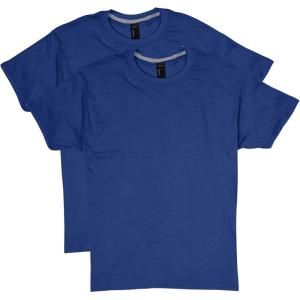 Hanes Mens X-Temp Performance T-Shirt Pack, Cotton Blend Moisture-Wicking Tees for Men, 2-Pack(Deep Royal)