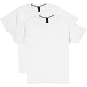 Hanes Mens X-Temp Performance T-Shirt Pack, Cotton Blend Moisture-Wicking Tees for Men, 2-Pack(White)