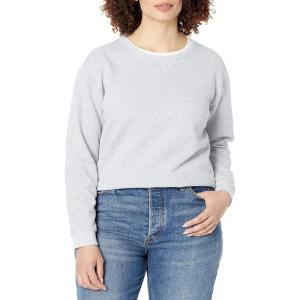 Hanes womens Crewneck Sweatshirt, Ecosmart Fleece Pullover With V-notch, Sweatshirt for Women(Light Steel)