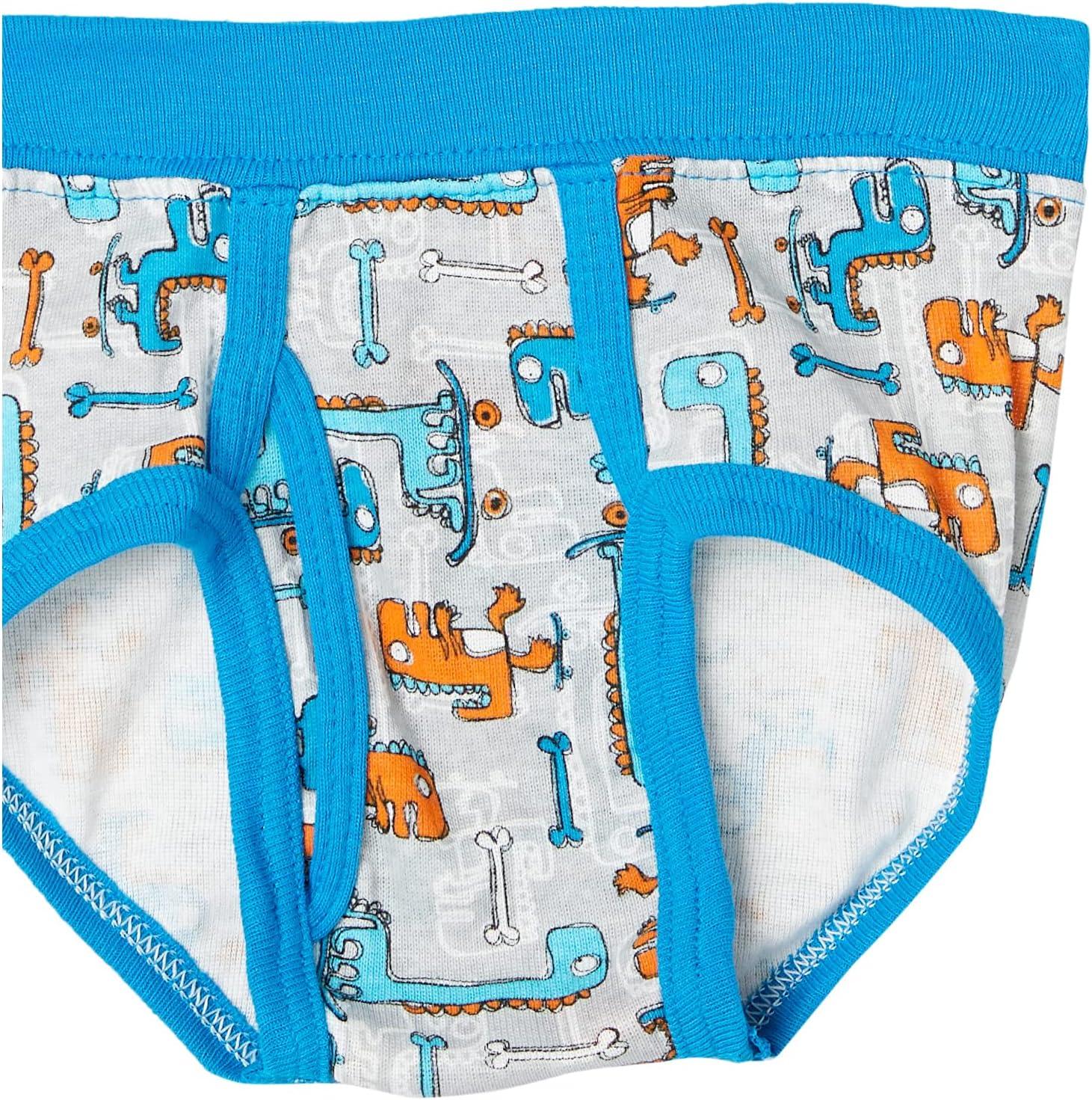 imageHanes Boys Brief Underwear Cotton Underwear for Boys No RideUp Briefs 6 and 10 PacksAssorted 10 Pack