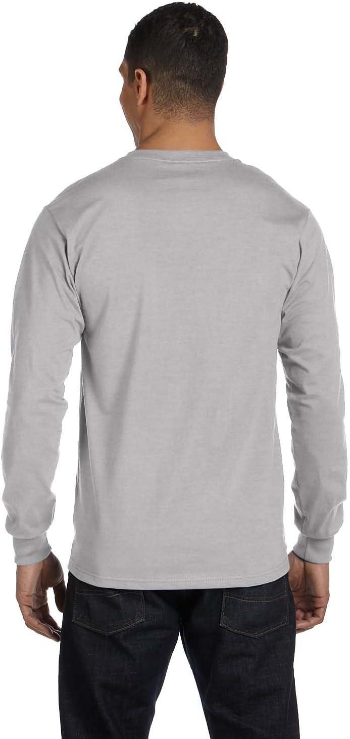 imageHanes Mens Essentials LongSleeve TShirt Crewneck Cotton TShirts for Men 2PackLight Steel 2 Pack