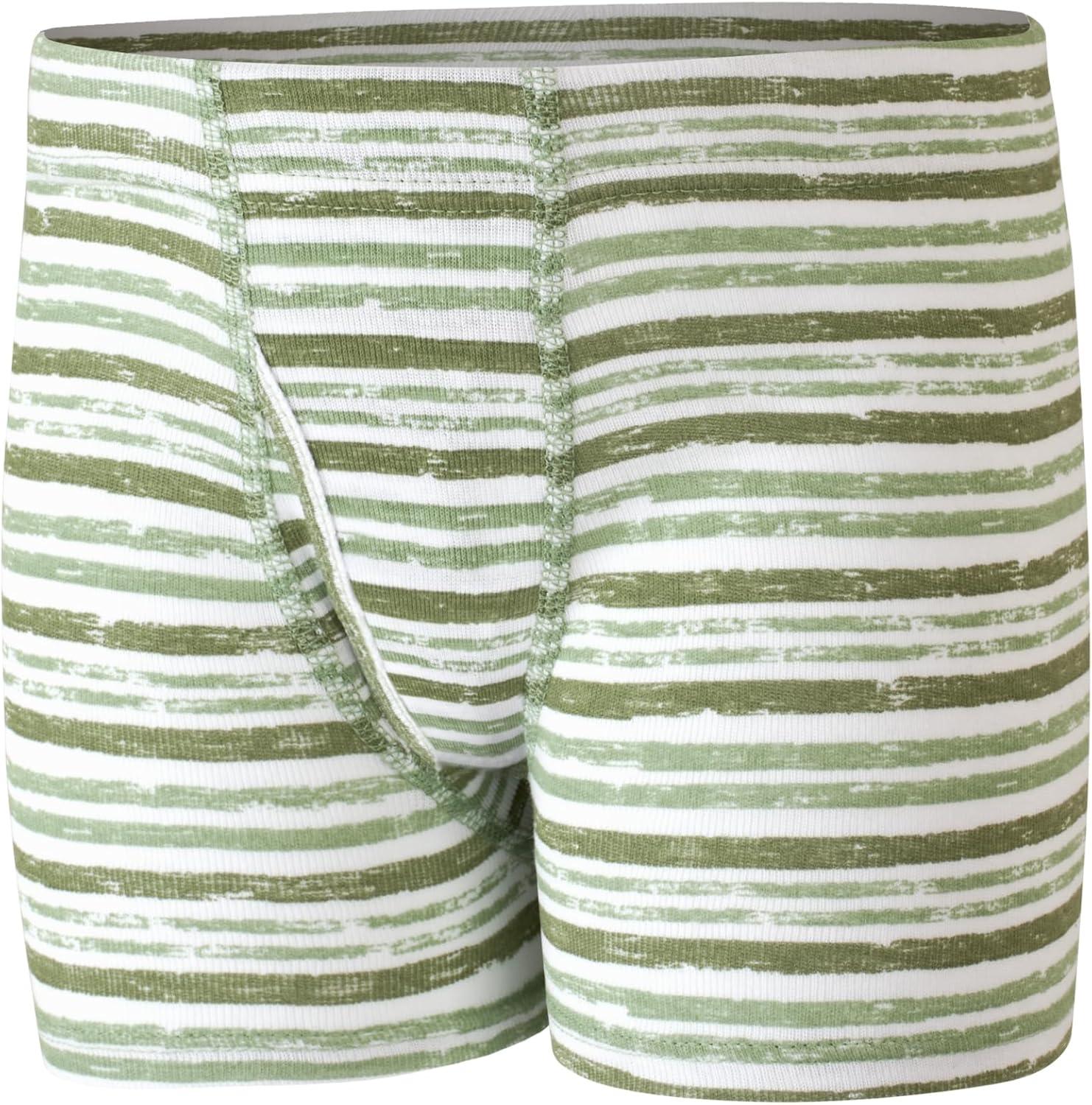 imageHanes Toddler Boys Organic Cotton Underwear Pure Comfort 100 Cotton Boxer Briefs Available 10 ampamp 7 PackBlue White Green Beige