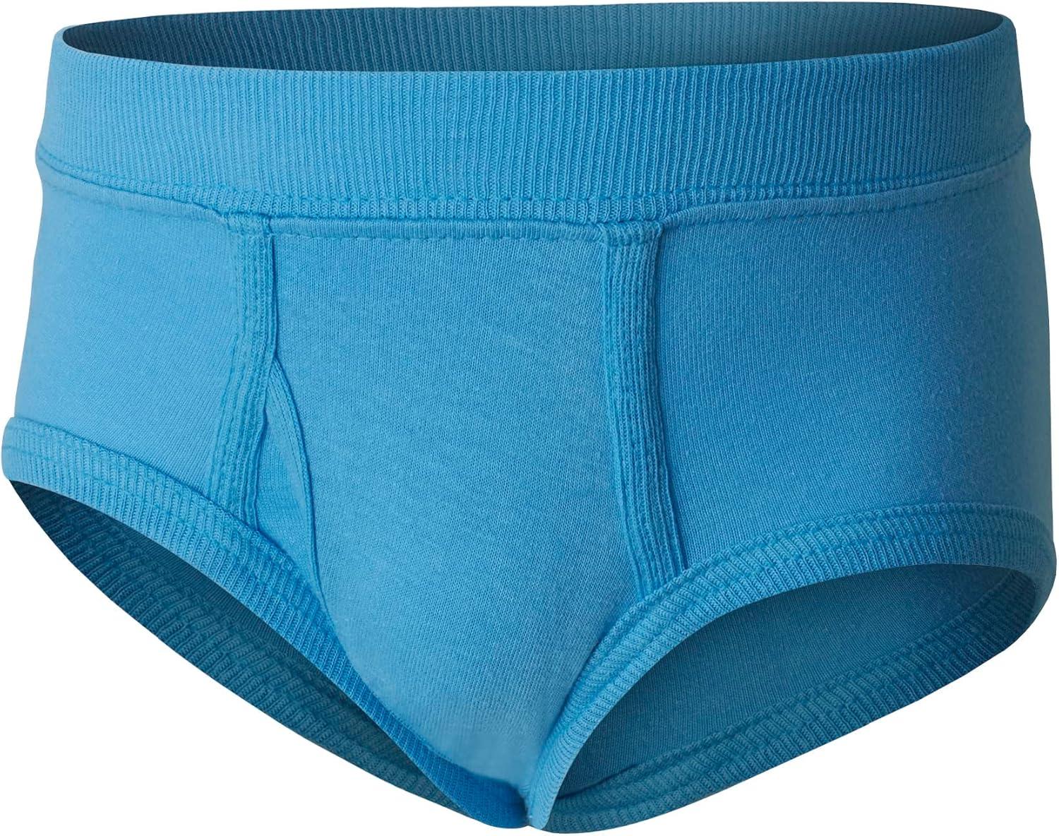 imageHanes Toddler Boys Organic Cotton Underwear Pure Comfort 100 Cotton Boxer Briefs Available 10 ampamp 7 PackBriefs Assorted 10 Pack